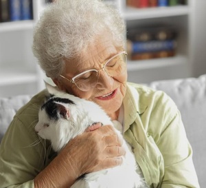 Pattes à coeur : quand les chats permettent de tisser des liens en maison de retraite