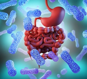 Six clés pour un microbiote sain avec le Dr Nathalie Georget