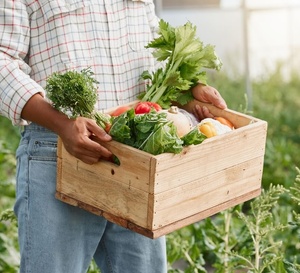 L'automne est là : les nutriments indispensables pour renforcer votre système immunitaire