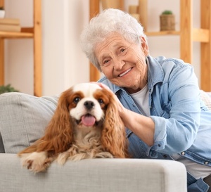 Découvrez la nouvelle assurance santé pour animaux lancée par La Poste