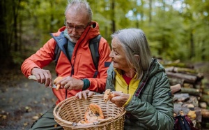 Champignons : cueillette et consommation, soyez prudents !