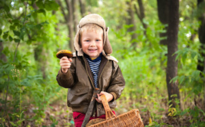 Cueillette et consommation de champignons… Attention aux risques d’intoxication !