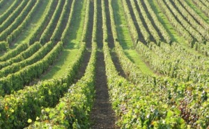 Un tiers des créateurs d’entreprise seniors était au chômage…