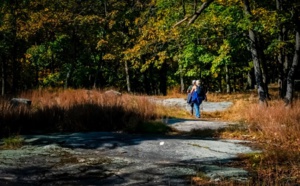La Canadienne Marie Beaulieu nommée par l'ONU pour ses travaux sur le vieillissement