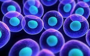 Pasteurdon 2022 : Sars-Cov-2, un virus qui détourne notre réseau de neurones