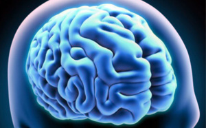 Pasteurdon 2022 : les organoïdes cérébraux pour étudier le vieillissement précoce du cerveau