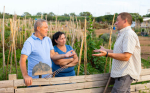 Comment se protéger contre les arbres des voisins ?