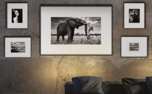 Ionnyk : la photo en papier électronique