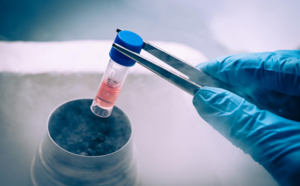 Des cellules souches pour régénérer le coeur