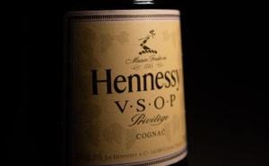 Le cognac expliqué aux débutants