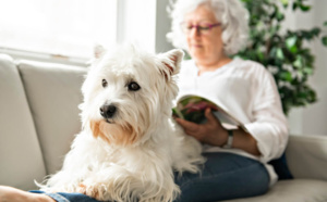L'animal comme auxiliaire thérapeutique par Pierre Nantas, psychothérapeute