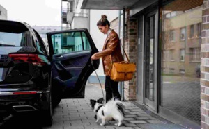 Comment voyager en toute sécurité avec votre chien dans la voiture