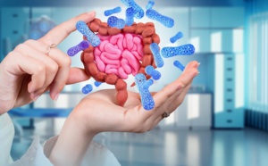 L'intestin comme remède au vieillissement