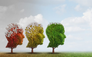 Alzheimer : grande oubliée des politiques malgré un secteur mobilisé sur le bien vieillir