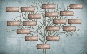 Loi : à partir de quand un nom de famille est-il menacé d'extinction ?