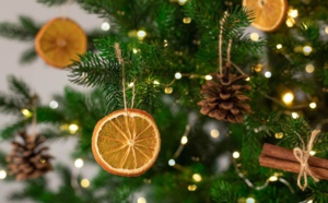 Fêtes de fin d'année : des conseils pour bien choisir votre sapin de Noël