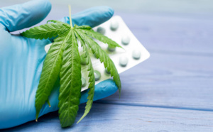 Cannabis thérapeutique : l'expérimentation est prolongée