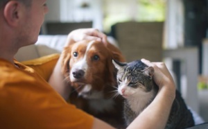 Animaux domestiques : de l'importance de les identifier !