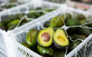 L'avocat, riche en bonnes graisses : un allié pour le coeur