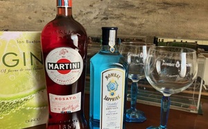 Gin Bombay Sapphire ou Martini Rosato : pour amateurs de cocktails