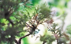 2025 : une année charnière pour les pratiques de la longévité ?