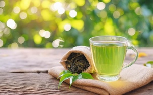 Du thé vert pour lutter contre le déclin cognitif