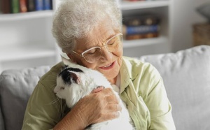 Pattes à coeur : quand les chats permettent de tisser des liens en maison de retraite