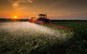 Parkinson et les pesticides : une relation toxique