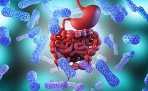 Six clés pour un microbiote sain avec le Dr Nathalie Georget