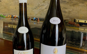 Des vins blancs de gastronomie