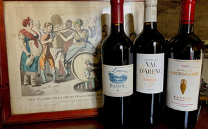 Bandol : le soleil, la mer et ses vins !