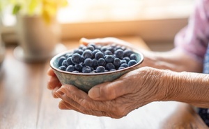 Myrtilles sauvages : l'étude qui prouve leurs bienfaits sur cœur et cerveau