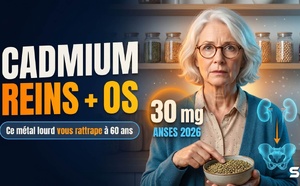 Cadmium : ce métal lourd que vos reins stockent depuis 30 ans rattrape vos os à 60 ans