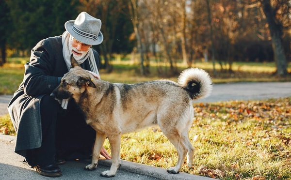 Enterrez votre chien ou votre chat dans le jardin : que dit la loi depuis 2016 ?