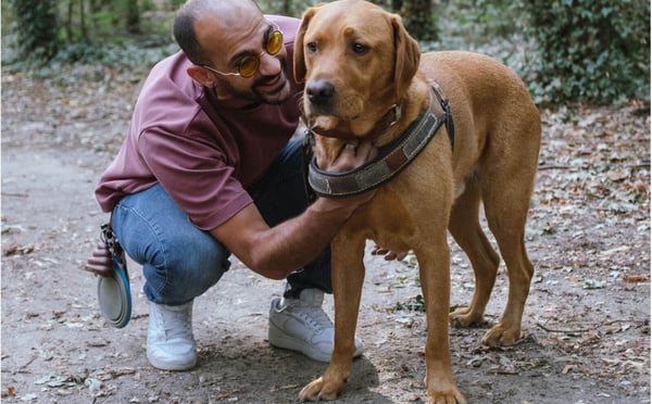 “Mon chien guide a changé ma vie” : le témoignage de Frédéric et de son chien guide Sherlock