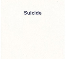Suicidé d’Edouard Levé : journal du  choir
