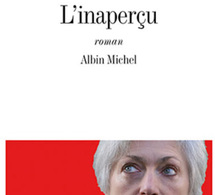 L’inaperçu de Sylvie Germain : Madame sans haine