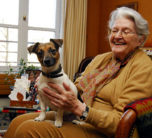 Versailles : des « agents canins » rendent visitent aux seniors isolés…