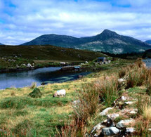 Irlande : à la découverte de la côte ouest par le biais de la cuisine !