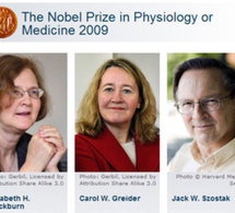 Prix Nobel de Médicine 2009 : la lutte contre le vieillissement récompensée !
