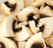 Champignons : cueillette et consommation, soyez prudents