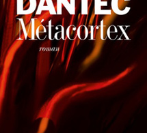 Metacortex de Maurice G. Dantec : un polar noir plus que noir