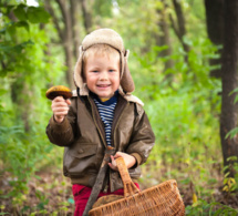 Cueillette et consommation de champignons… Attention aux risques d’intoxication !