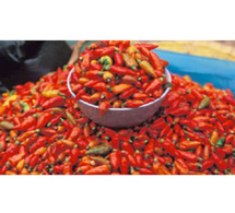 Vietnam gourmet ou les secrets de la cuisine asiatique…