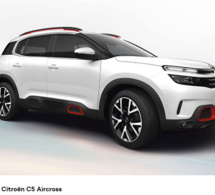 Salon de l'Auto de Paris : les absents de plus en plus nombreux