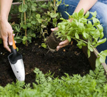 Facilitez-vous le jardinage avec les nouveaux outils pour balcons et terrasses Fiskars