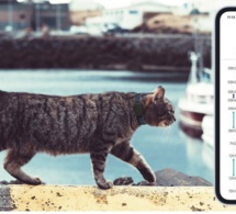 Pet Tracker met votre animal de compagnie sous surveillance rapprochée