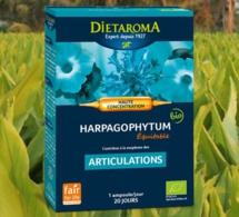 L'harpagophytum : en complément bio contre les douleurs articulaires