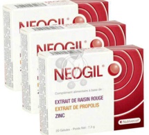 Neogil : un complément nutritionnel contre les inflammations articulaires localisées