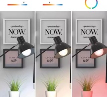 Avidsen Homelight : s'éclairer avec des ampoules connectées, mais pas que...